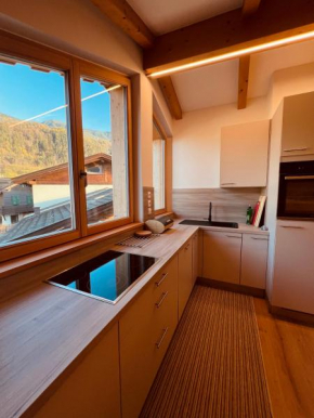 Apartment Ploseblick Brixen